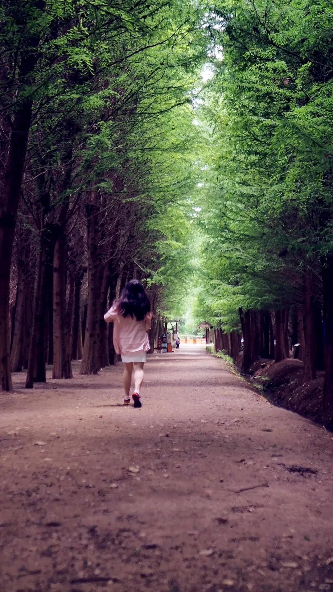 圖源：小紅書@灰狼叔叔的兔子屋1(1)