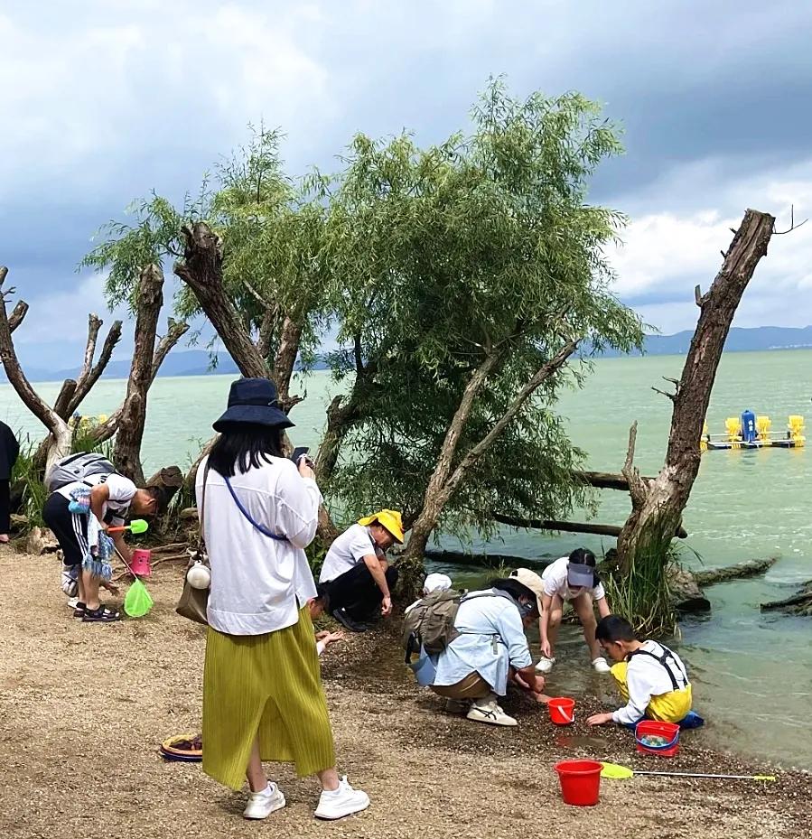 圖源：小紅書@灰狼叔叔的兔子屋2(1)