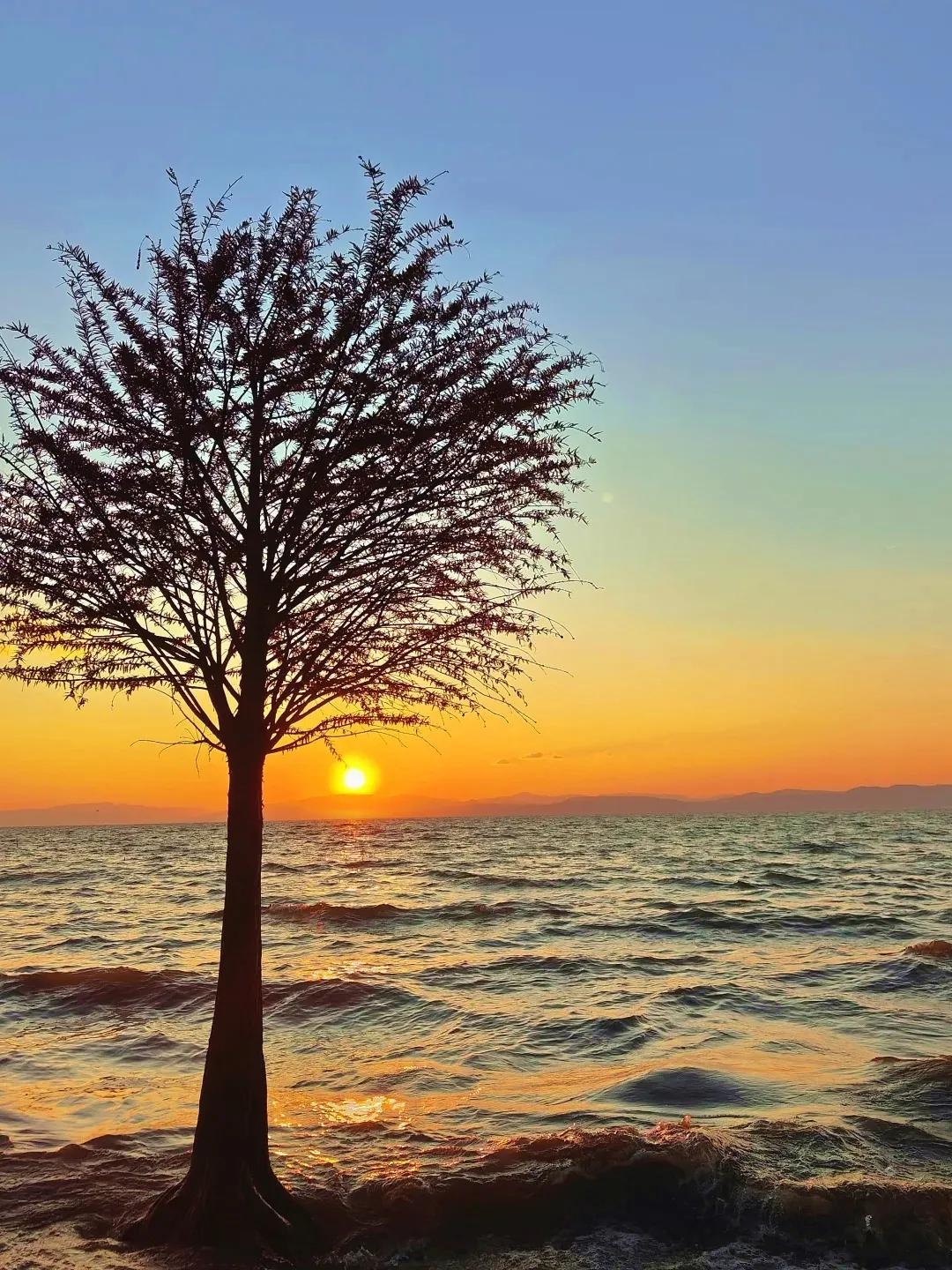 圖源：小紅書@C1(1)