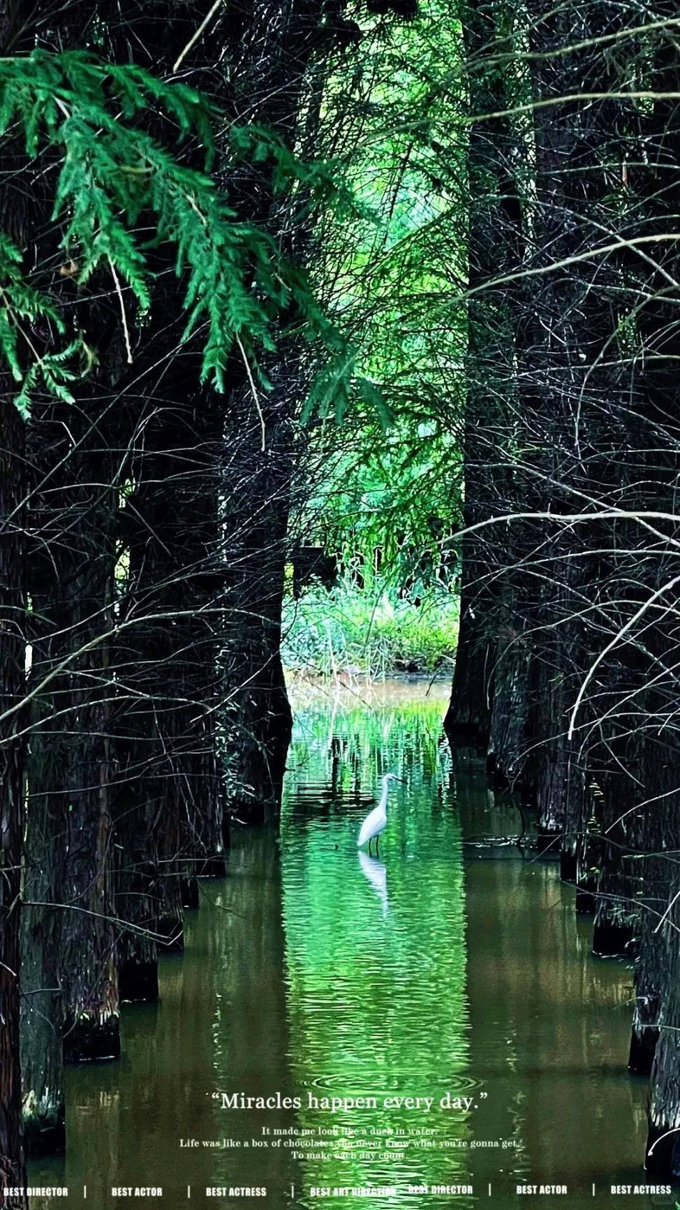 圖源：小紅書@灰狼叔叔的兔子屋(1)