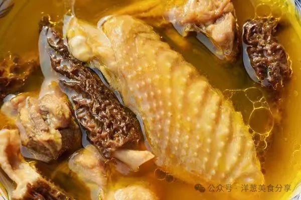 羊肚菌雞湯 羊肚菌雞湯