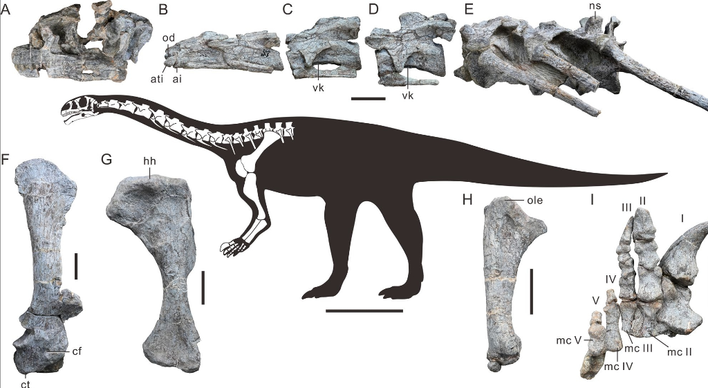 6892fabca3108a99cc1392d6 6892fabca3108a99cc1392d6