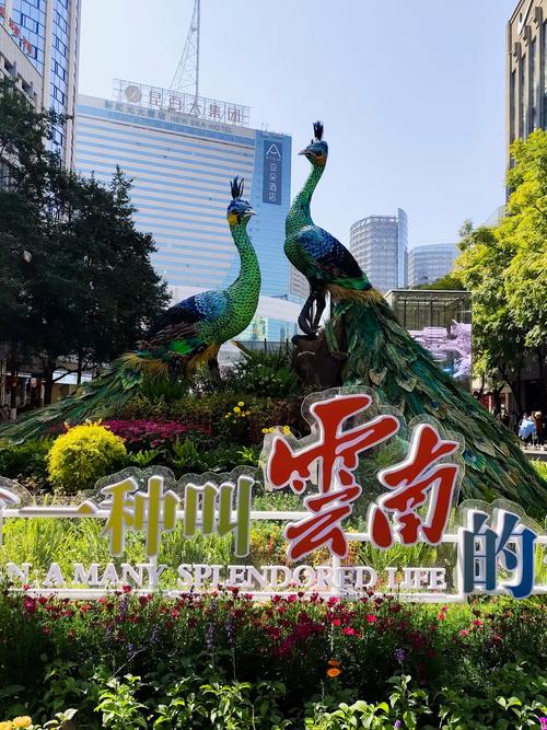 有一種叫云南的生活