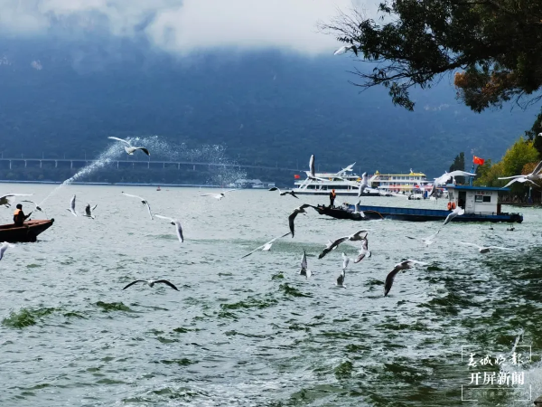 imageye___-_imgi_26_640