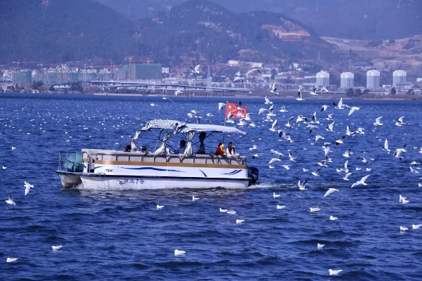 imageye___-_imgi_37_640