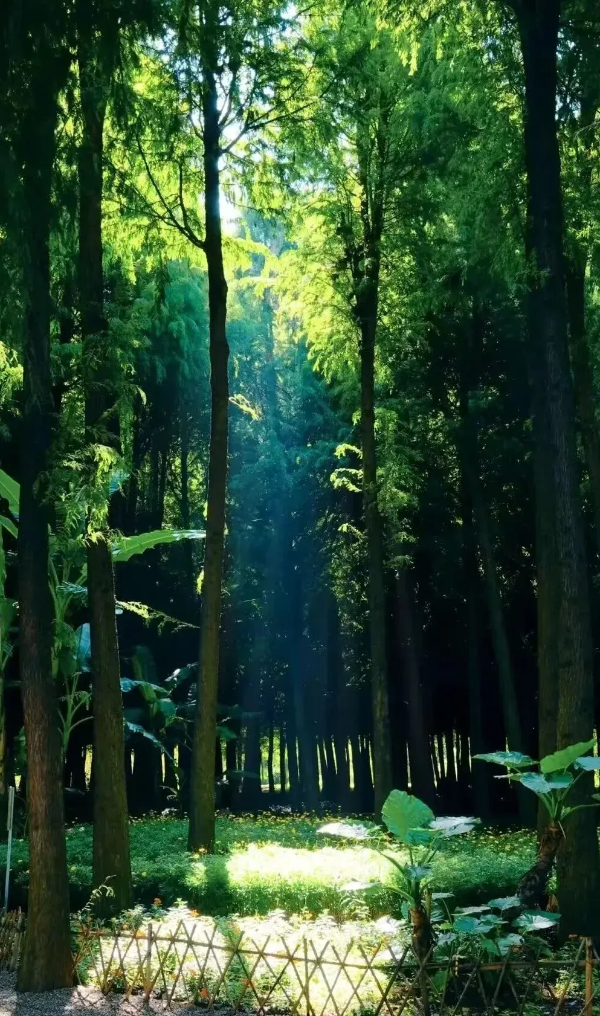 imageye___-_imgi_61_640 imageye___-_imgi_61_640