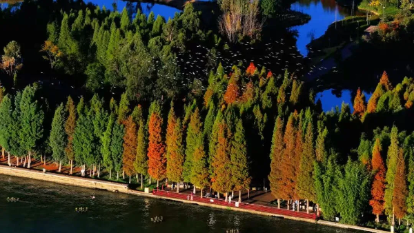 imageye___-_imgi_38_640 imageye___-_imgi_38_640