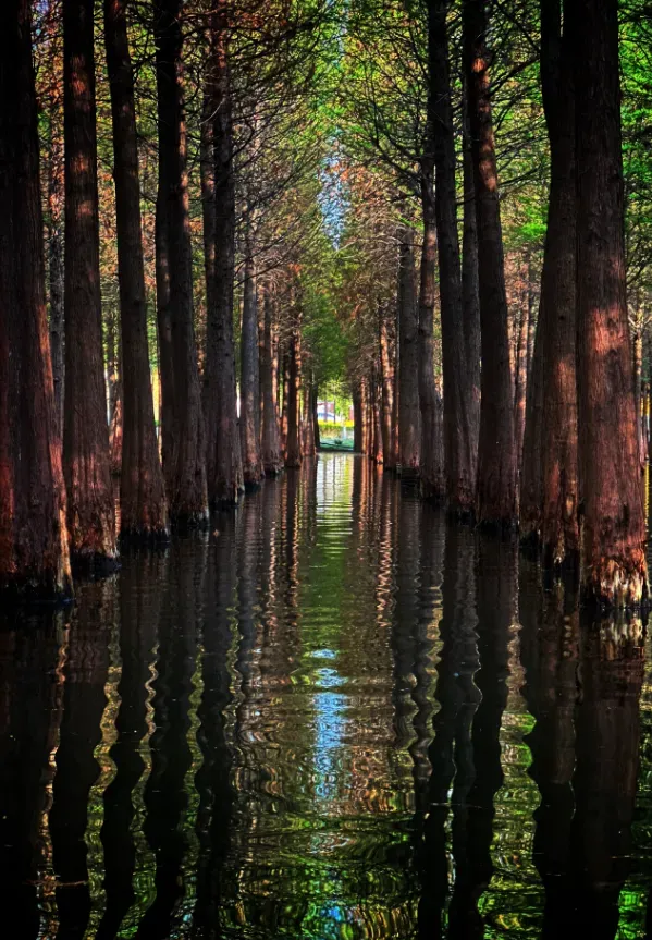 imageye___-_imgi_39_640 imageye___-_imgi_39_640