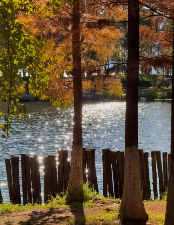 imageye___-_imgi_42_640 imageye___-_imgi_42_640