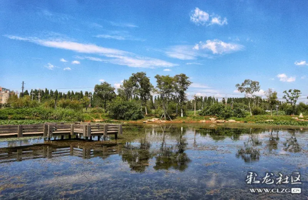 imageye___-_imgi_55_640 imageye___-_imgi_55_640