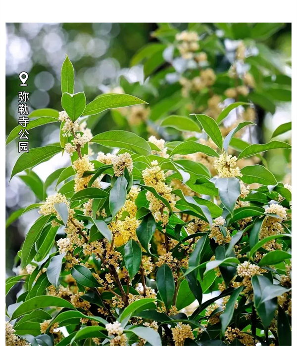 imgi_107_640 imgi_107_640