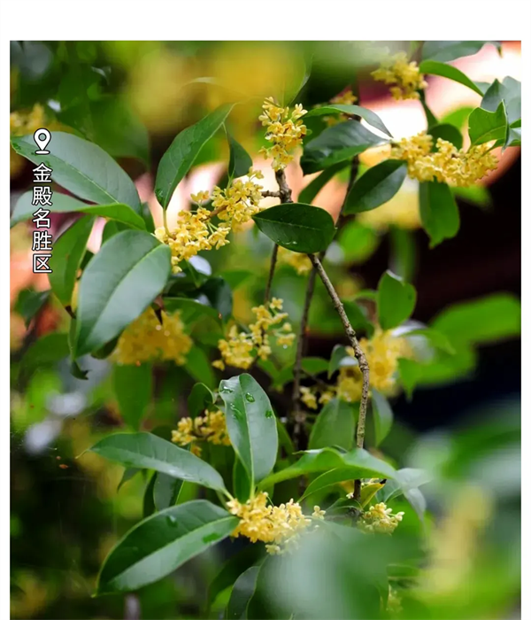 imgi_109_640 imgi_109_640