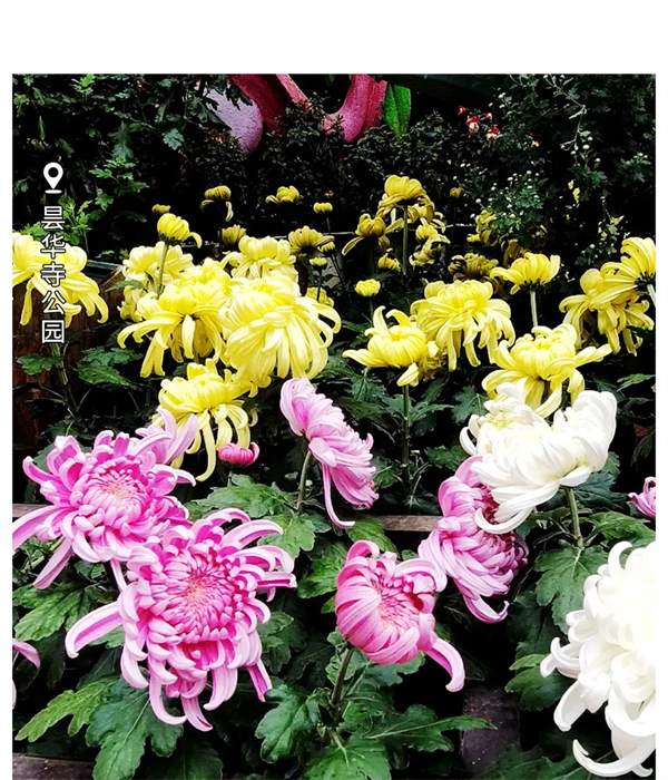 imgi_114_640 imgi_114_640