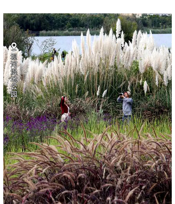 imgi_119_640 imgi_119_640