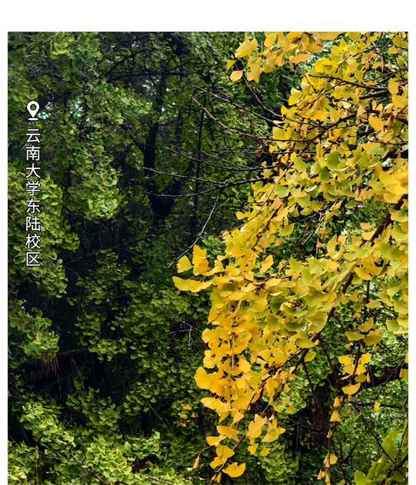 imgi_122_640 imgi_122_640