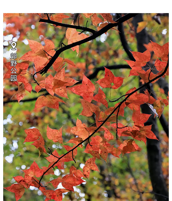 imgi_130_640 imgi_130_640