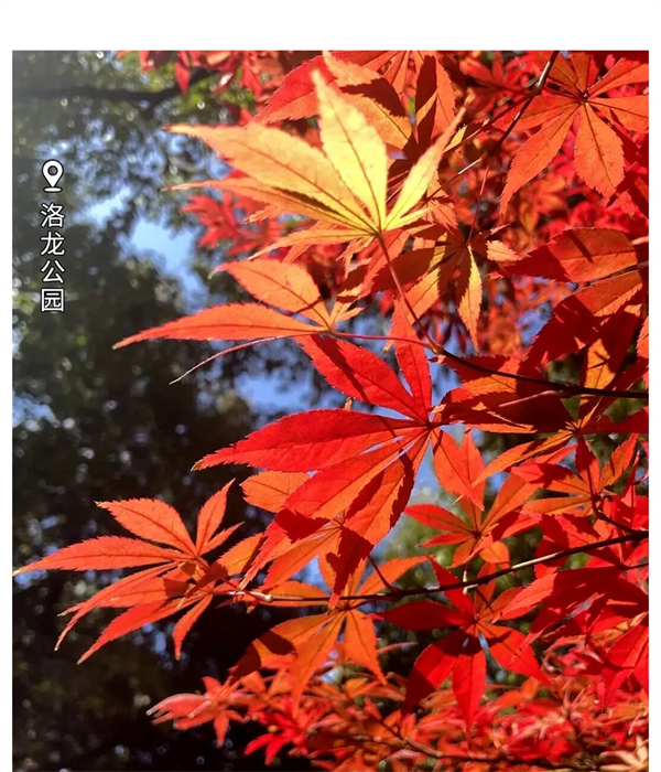 imgi_131_640 imgi_131_640