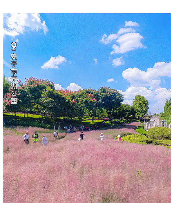 imgi_134_640 imgi_134_640