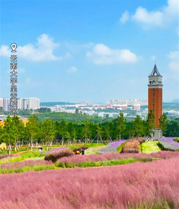 imgi_135_640 imgi_135_640