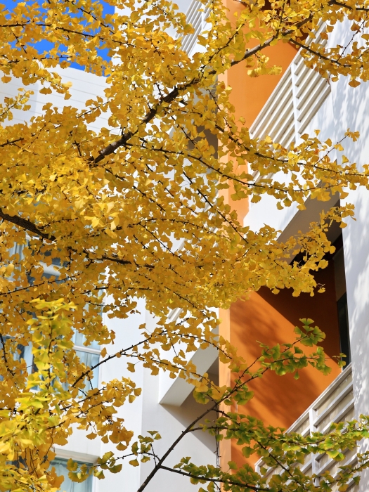 文林街2 無違旅行