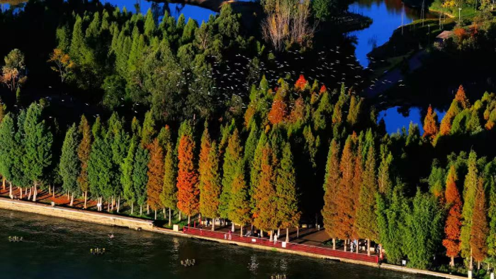 海洪濕地1 文旅云南