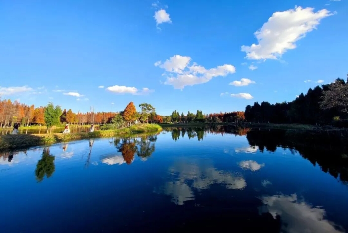 海洪濕地2 文旅云南