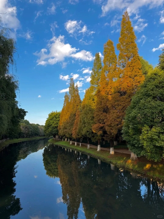 采蓮河1 伙食團微服食訪