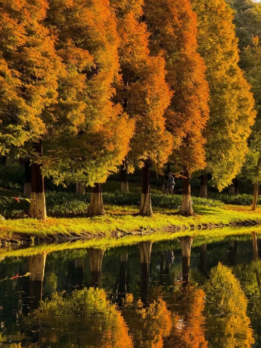 采蓮河3 伙食團微服食訪