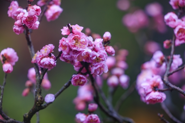 dc069062f23a4ffb9b5e80331e47fd98