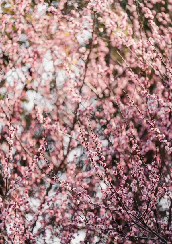 b471fa5893af4edba3178e87db8ba2b8