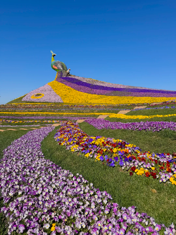 小紅書@逛吃情報局