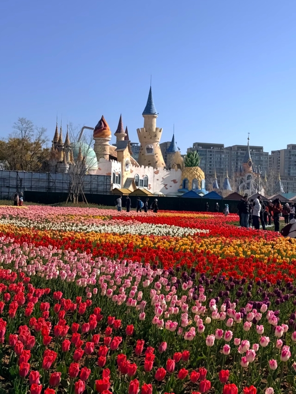 微信圖片_20260209162452_133_103