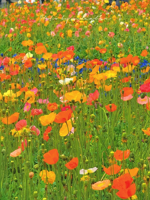 微信圖片_20260211165104_191_7