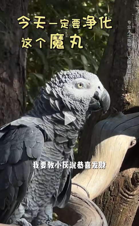 7 截圖 胡靜抖音號