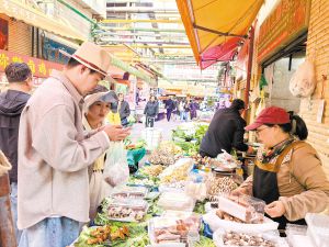 12393262431005317945