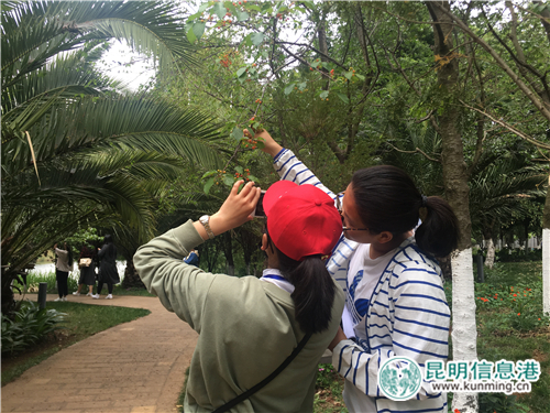 “發(fā)現(xiàn)云南之美網(wǎng)絡攝影大賽”高校行首站走進云師大 (3)