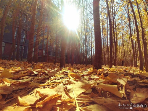 QQ圖片20180427225100