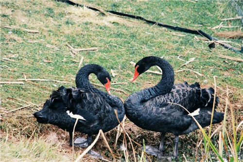 QQ圖片20180427225033