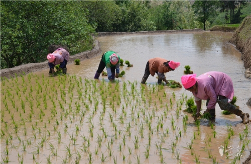 20180427175725D0XBNY