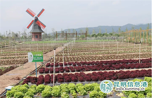 晨農(nóng)農(nóng)博園