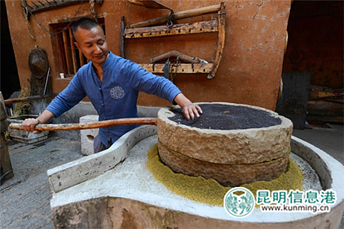 師傅將炒香的菜籽放到石磨中碾碎