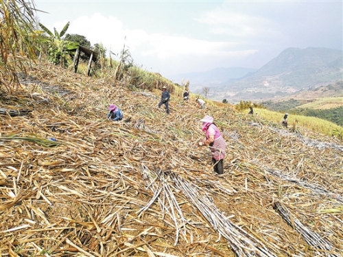 2018043004_res11_attpic_brief 2018043004_res11_attpic_brief