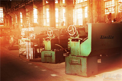 871創(chuàng)意文化工場(chǎng) 小友攝