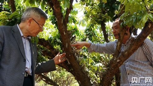 W020180502541653515573