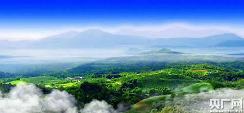 W020180502541653575447