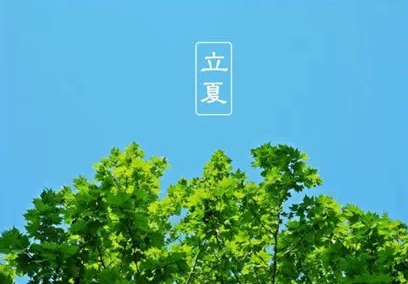 W020180502336934151872