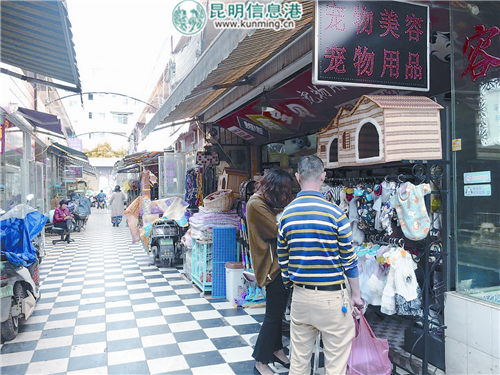 春苑花鳥市場3 (1)