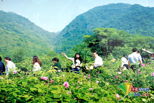 20180508_103913_022 20180508_103913_022