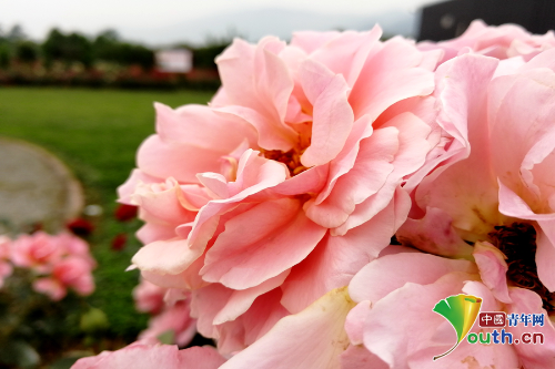 20180508_103913_023 20180508_103913_023