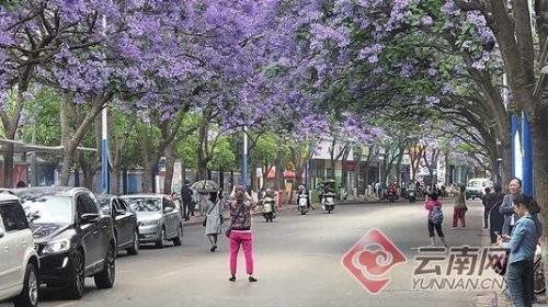 94de802731461c5c398c06 94de802731461c5c398c06